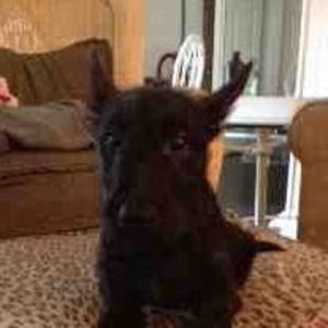 Meet your Posher, Suzy